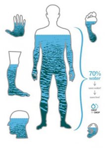 رابطه هیدراسیون (میزان آب بدن )با وزن بدن